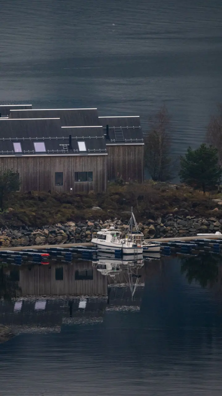 Fjordopplevelse med båt