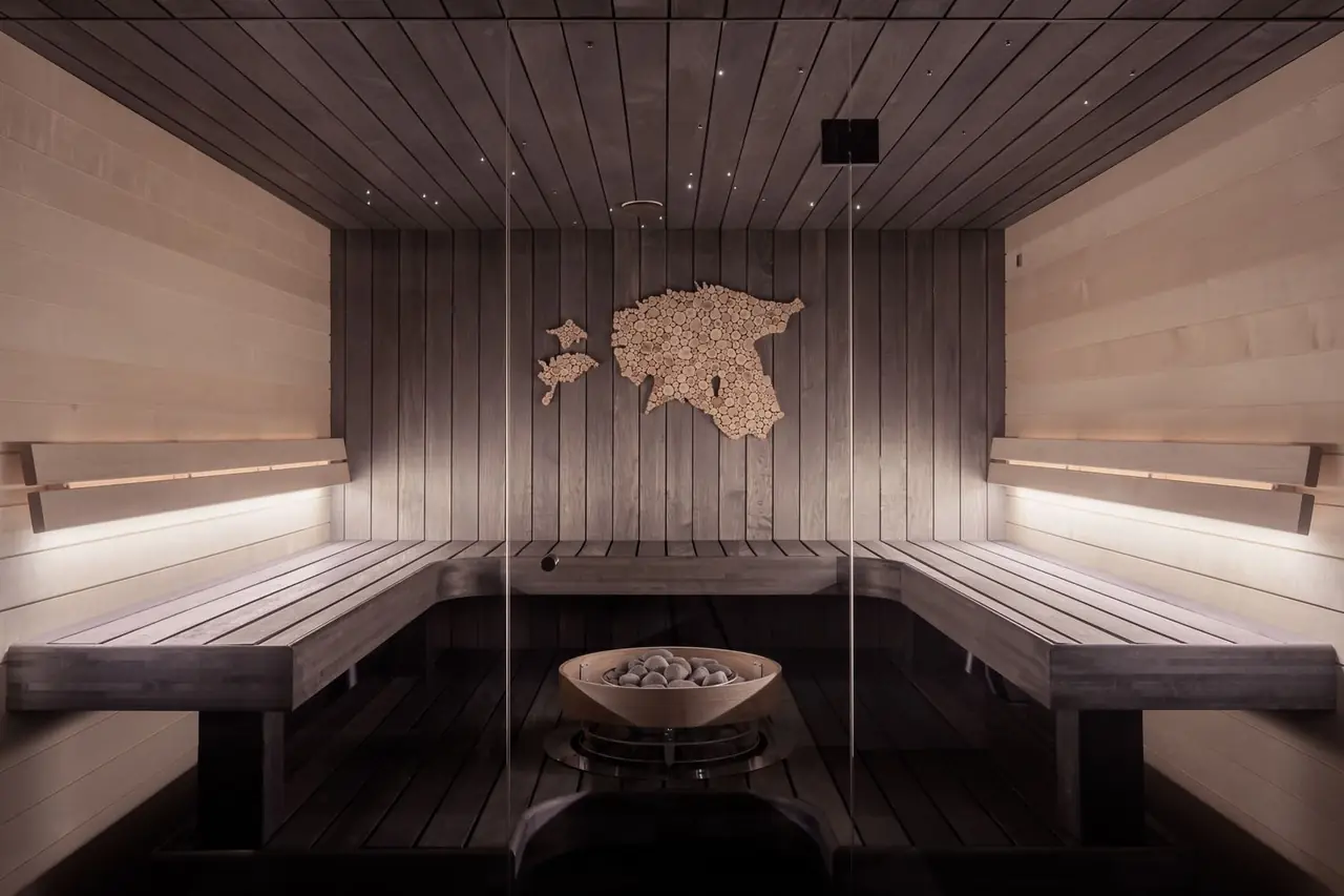 Moderne skandinavisk sauna